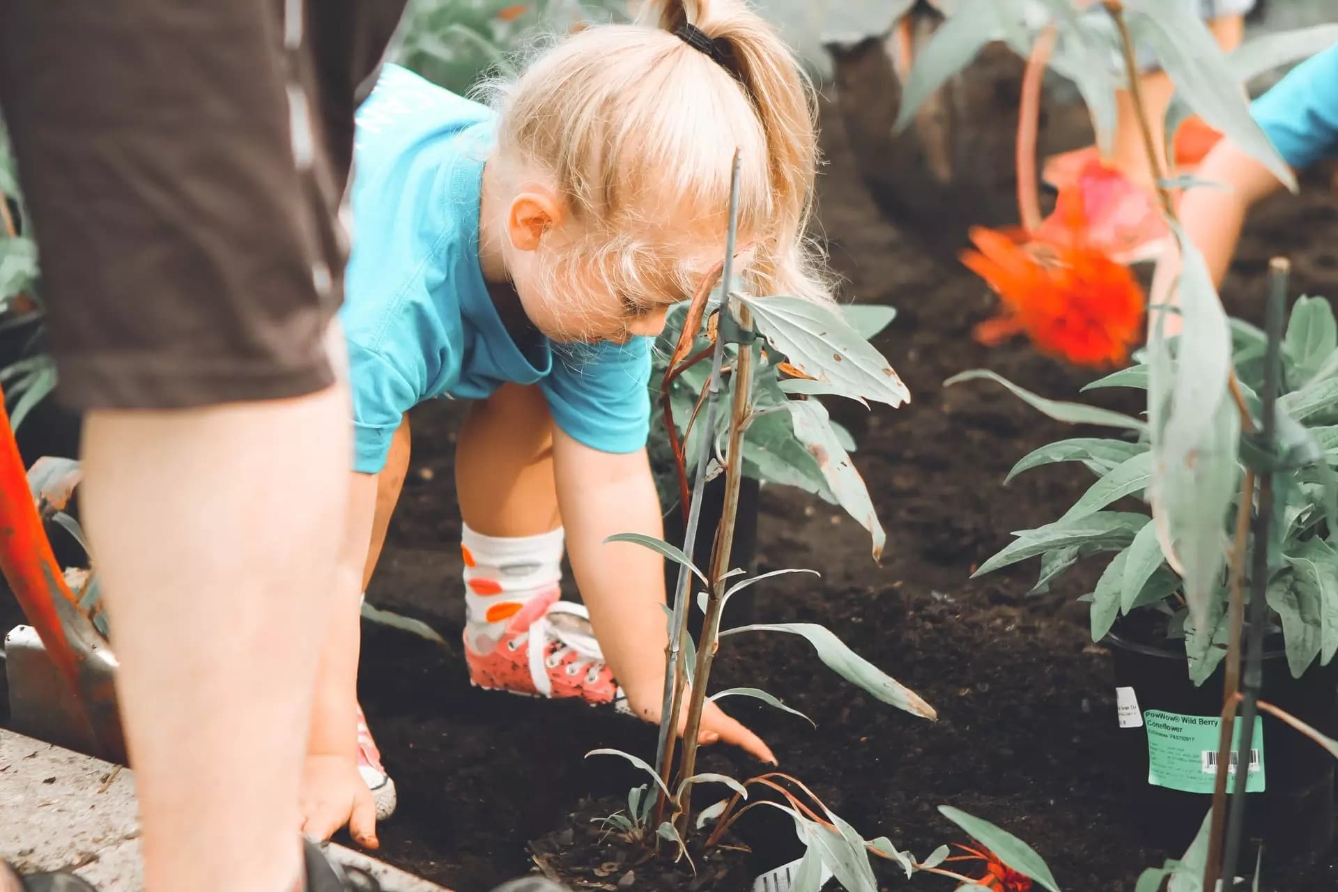 Criança plantando árvore